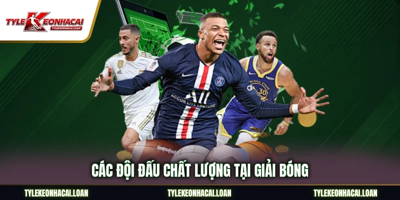 Các đội đấu chất lượng tại giải bóng