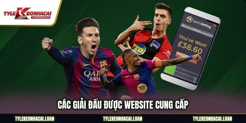 Các giải đấu được website cung cấp