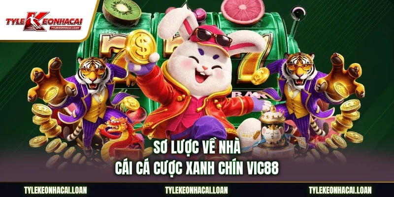 Sơ lược về nhà cái cá cược xanh chín Vic88